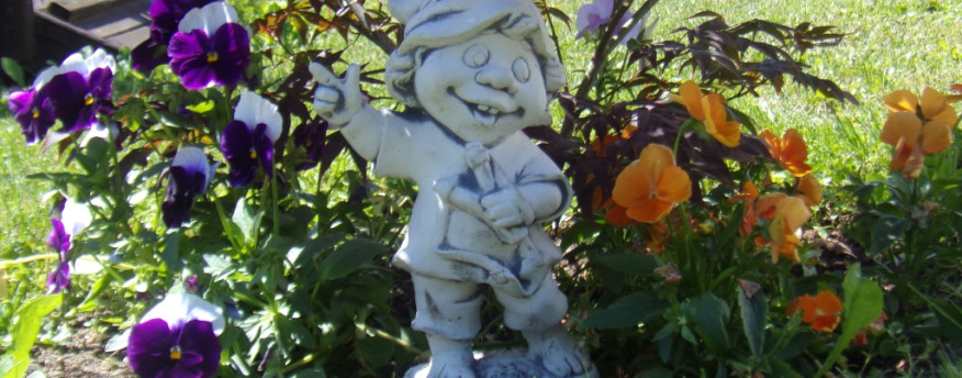 fotka 7 - Nad Strumykiem